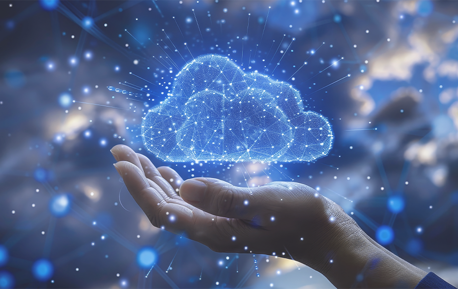 Cloud based sales & distribution management software